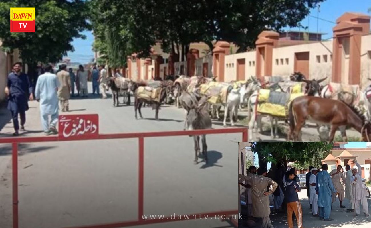 کشمیر/ کوٹلی: ڈپٹی کمشنر آفس کے سامنے مزدوروں کا اپنے گدھوں سمیت منفرد احتجاج ، ’ہمارا روزگار چھینا جا رہا ہے‘، 9 گرفتار